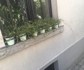 Gesmede plantenhouder vensterbank