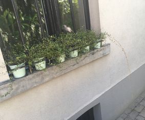 Gesmede plantenhouder vensterbank
